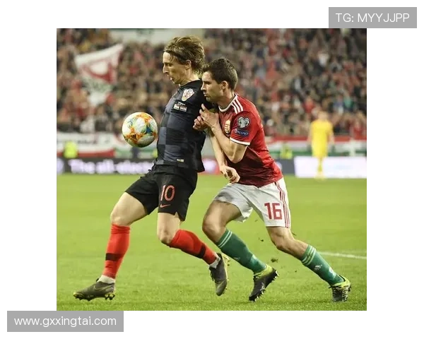 匈牙利法国足球赛事直播（匈牙利对法国足球赛）sports